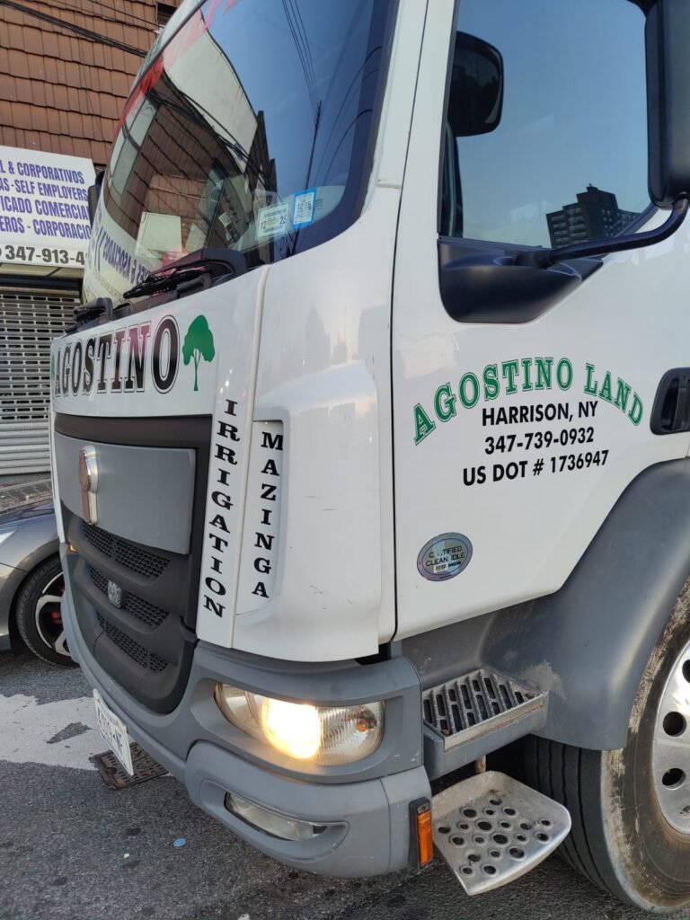 Truck Van lettering design